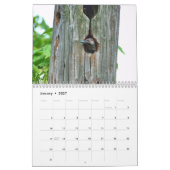 Woodpeckers Calendar カレンダー (1月 2027)