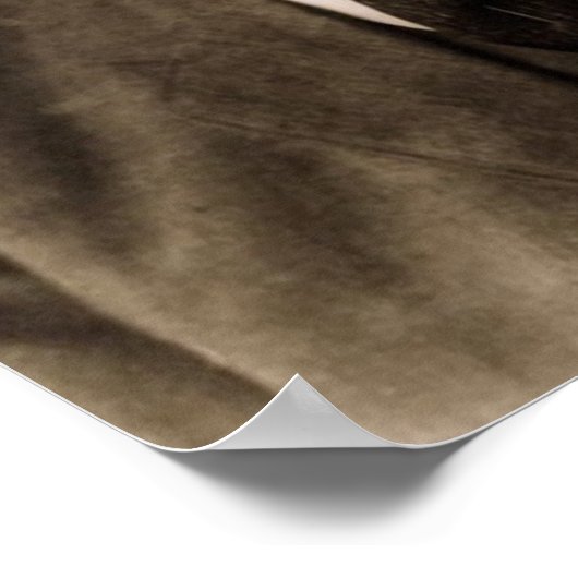 Woodrow Wilson 28 ポスター (角)