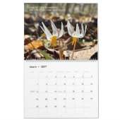 Woods Walking 2026 Calendar カレンダー (3月 2027)