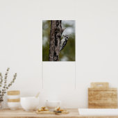 Woody ポスター (キッチン)