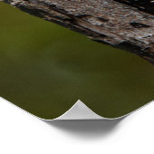 Woody ポスター (角)