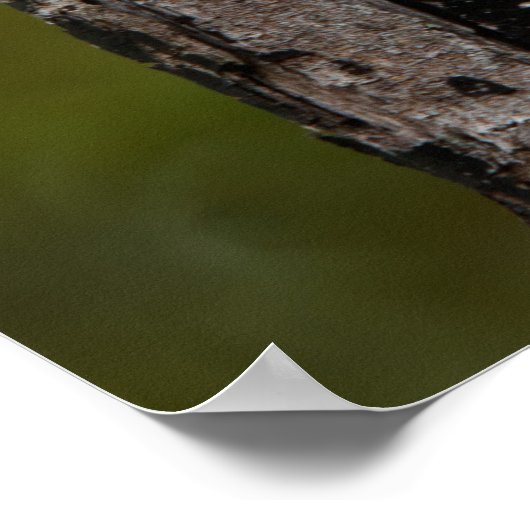 Woody ポスター (角)