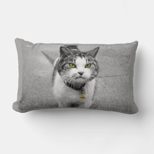 Woof ランバークッション (正面)