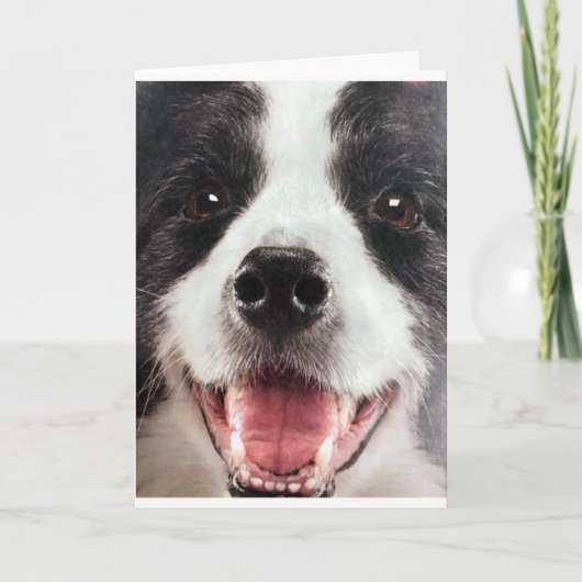 WOOF WOOFまたは言い換えれば**ハッピーバースデー** カード (正面)