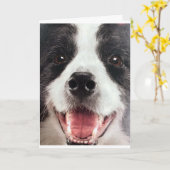 WOOF WOOFまたは言い換えれば**ハッピーバースデー** カード (黄色い花)