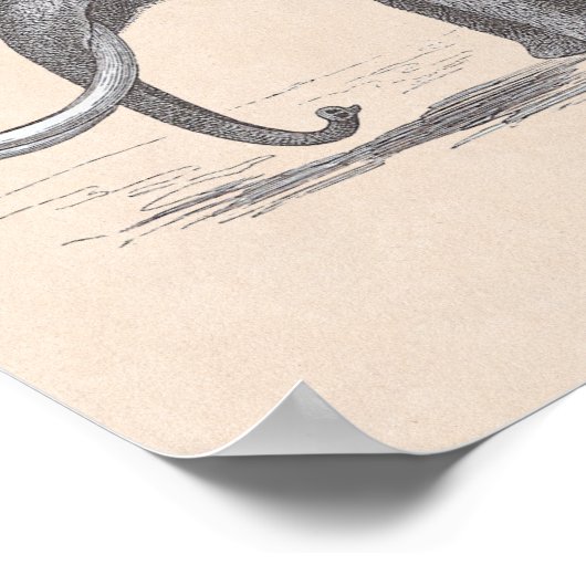 Woolly Mammoth and Skeleton Prehistoric Animals ポスター (角)