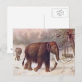 Woolly Mammoth Prehistoric Animal Antique Print ポストカード (正面/裏面)