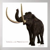 Woolly Mammoth Print ポスター (正面)