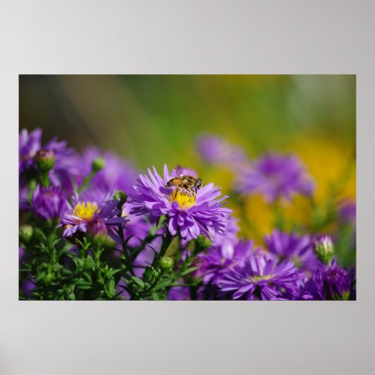 Working Bee Poster ポスター (正面)