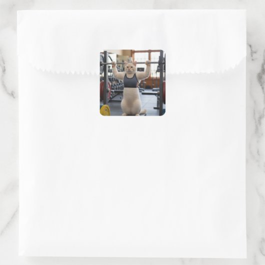 Workout Cat Sticker スクエアシール (バッグ)