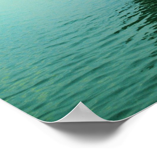 World Cat 270EC ポスター (角)