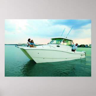 World Cat 270EC ポスター