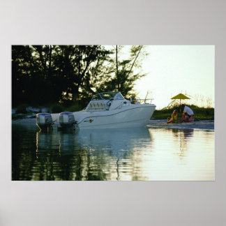 World Cat 270SC ポスター