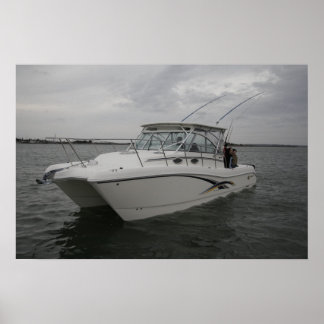 World Cat 320EC ポスター