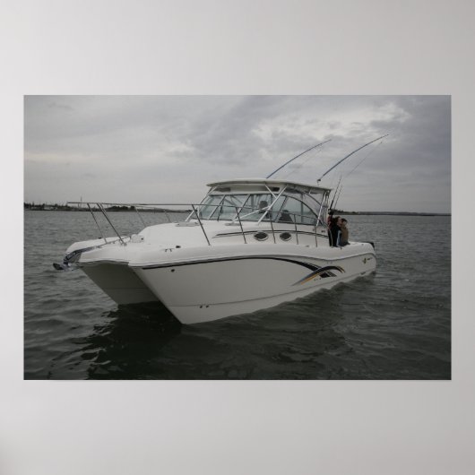 World Cat 320EC ポスター (正面)