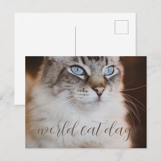 world Cat Day Postcard ポストカード (正面/裏面)