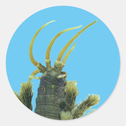 Wormステッカー1 ラウンドシール (正面)