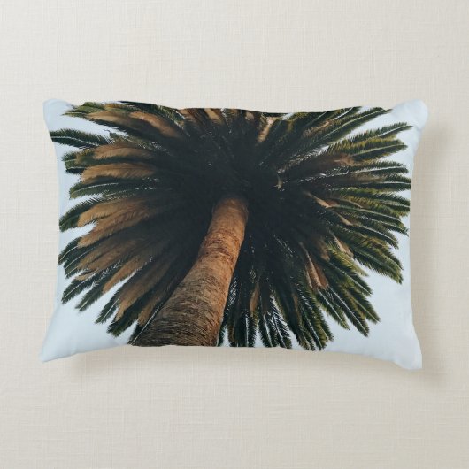 Worm eye photography of palm tree アクセントクッション (裏面)