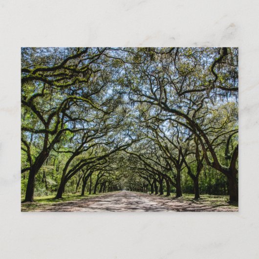 Wormsloeの史跡、サバンナジョージア ポストカード (正面)