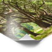 Wormslow Plantation, Savannah, GA フォトプリント (角)