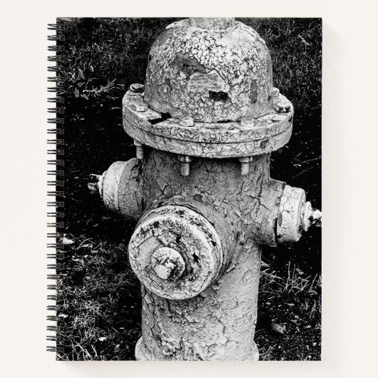 Worn Chipped Rusty Old Fire Hydrant Photograph ノートブック (正面)