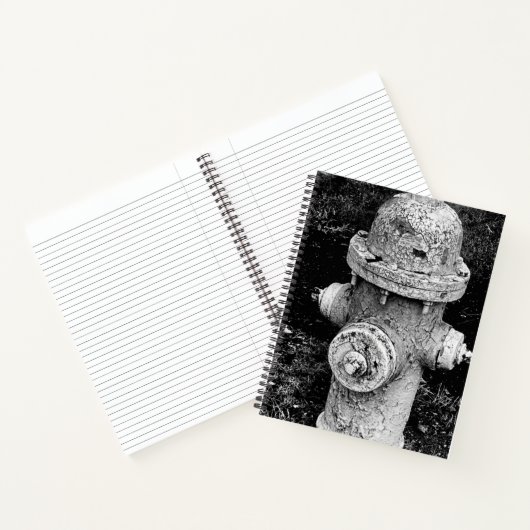 Worn Chipped Rusty Old Fire Hydrant Photograph ノートブック (内部)
