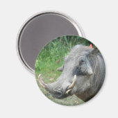 wort-hog10x10 マグネット (正面/裏面)