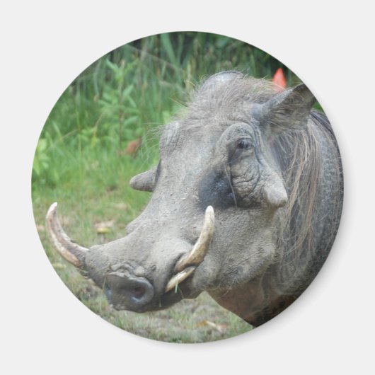 wort-hog10x10 マグネット (正面)