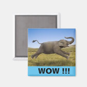 WOWマグネット マグネット (正面/裏面)