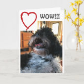 **WOW***および**WHO WHO**誕生日 カード (黄色い花)