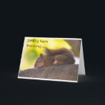 WOW **21st**誕生日・カードの速度が速い カード<br><div class="desc">家族カッコいいや同僚や友人に***幸せな21歳の誕生日***を言う何の方法。八つ感謝していの店の一つストップで言うと本当に嬉しい。</div>