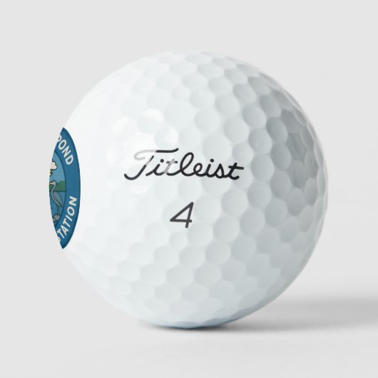 WPWS Titleist Pro V1 ゴルフボール (ロゴ)
