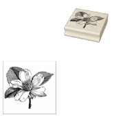 WQゴム印：ヴィンテージハナミズキ花 ラバースタンプ (押印)