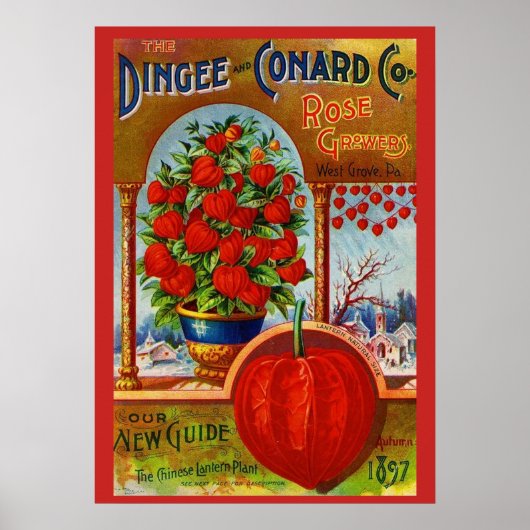 WQ POSTER：ランタン中国の ポスター (正面)