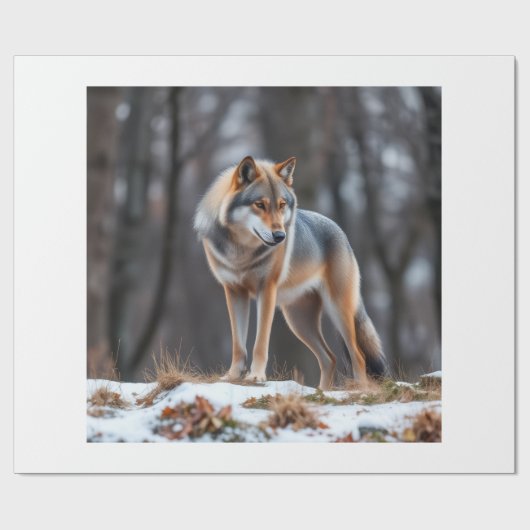 Wrapping paper  ラッピングペーパー (フラット)