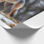 Wrapping paper  ラッピングペーパー (角)