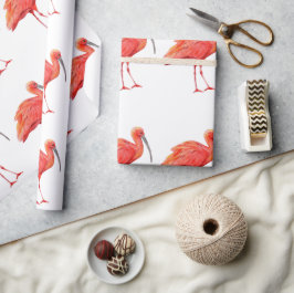 Wrapping Paper - Scarlet Ibis ラッピングペーパー