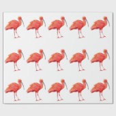 Wrapping Paper - Scarlet Ibis ラッピングペーパー (フラット)