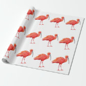 Wrapping Paper - Scarlet Ibis ラッピングペーパー (アンロールド)