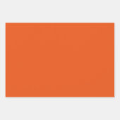 wrapping paper with Christmas reindeer ラッピングペーパーシート (正面3)