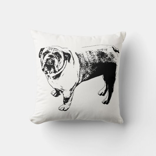 Wreath‑Frame Sofa Accent クッション (正面)