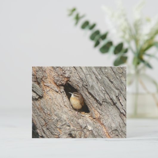 Wrenはがき。 ポストカード (スタンド正面)