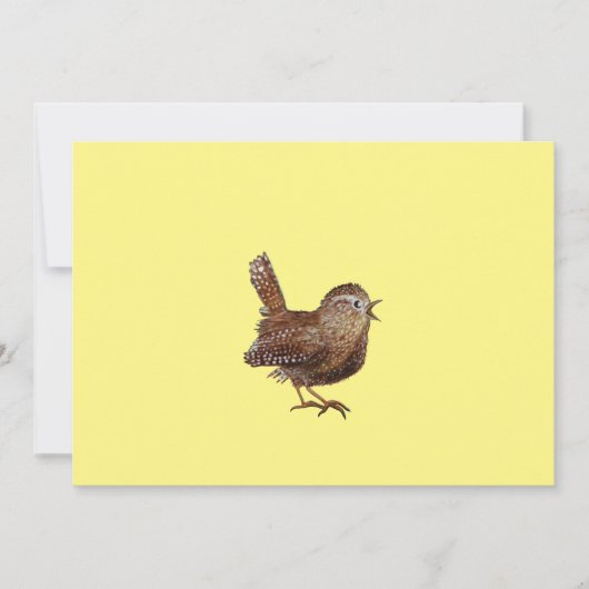 Wren Bird (Troglodytes Troglodytes)の歌 招待状 (正面)