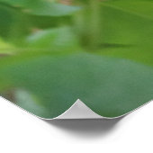 Wren In Arbor ポスター (角)