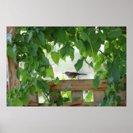 Wren In Arbor ポスター