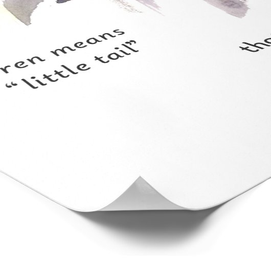 Wren Songbird Study Nature Wildlife Art ポスター (角)