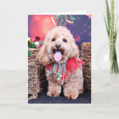 Wrigglyクリスマス- Cockapoo - シーズンカード (正面)