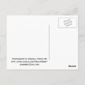 Wrigley建物はがき ポストカード (裏面)