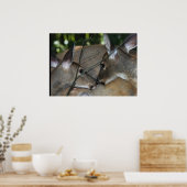 WT鹿の抱擁 ポスター (キッチン)