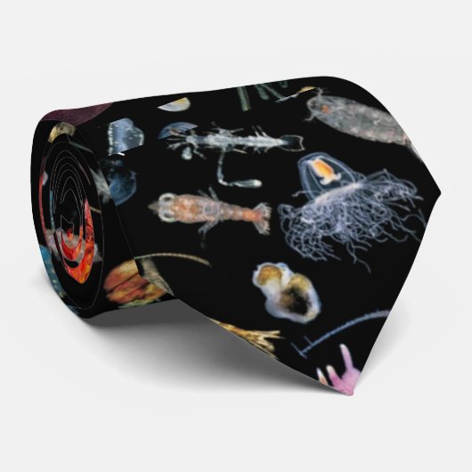 WTFネックタイ ネクタイ (ロール)